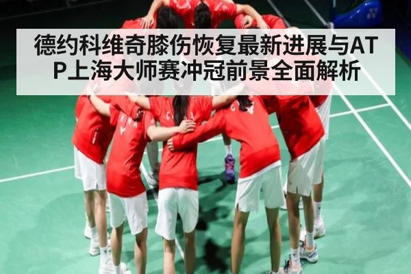 德约科维奇膝伤恢复最新进展与ATP上海大师赛冲冠前景全面解析